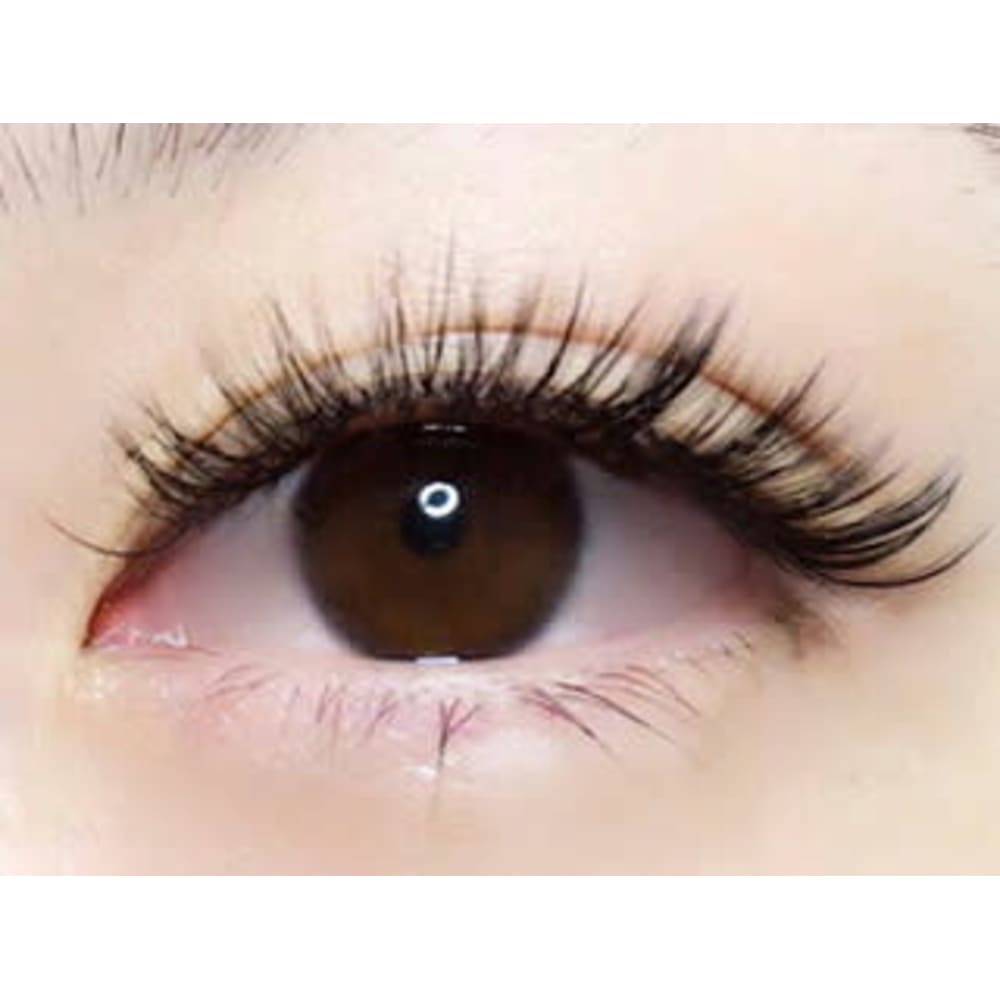 garland of Tasty 画像2