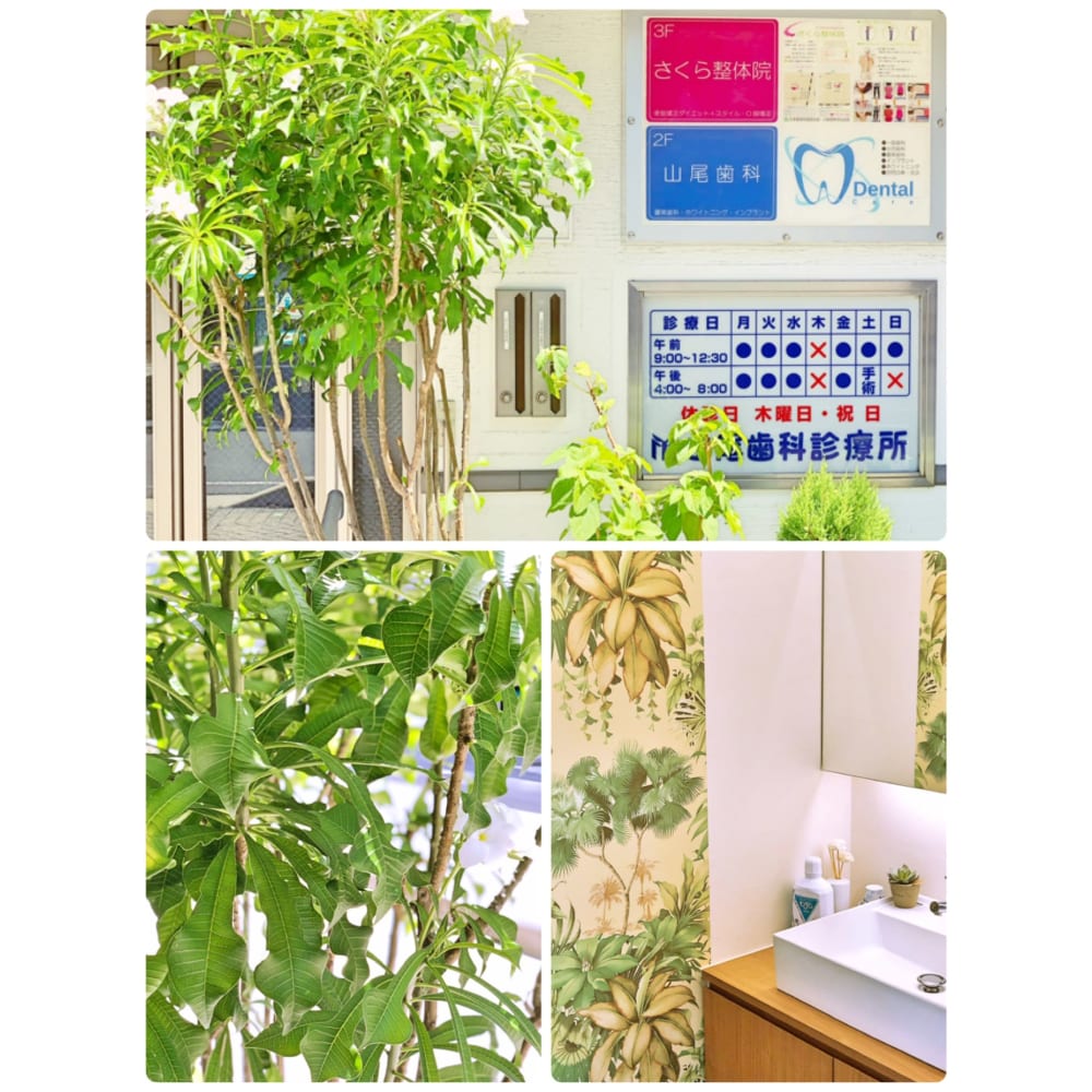 さくら整体院 サクラセイタイイン の予約 サロン情報 リラク マッサージサロンを予約するなら楽天ビューティ