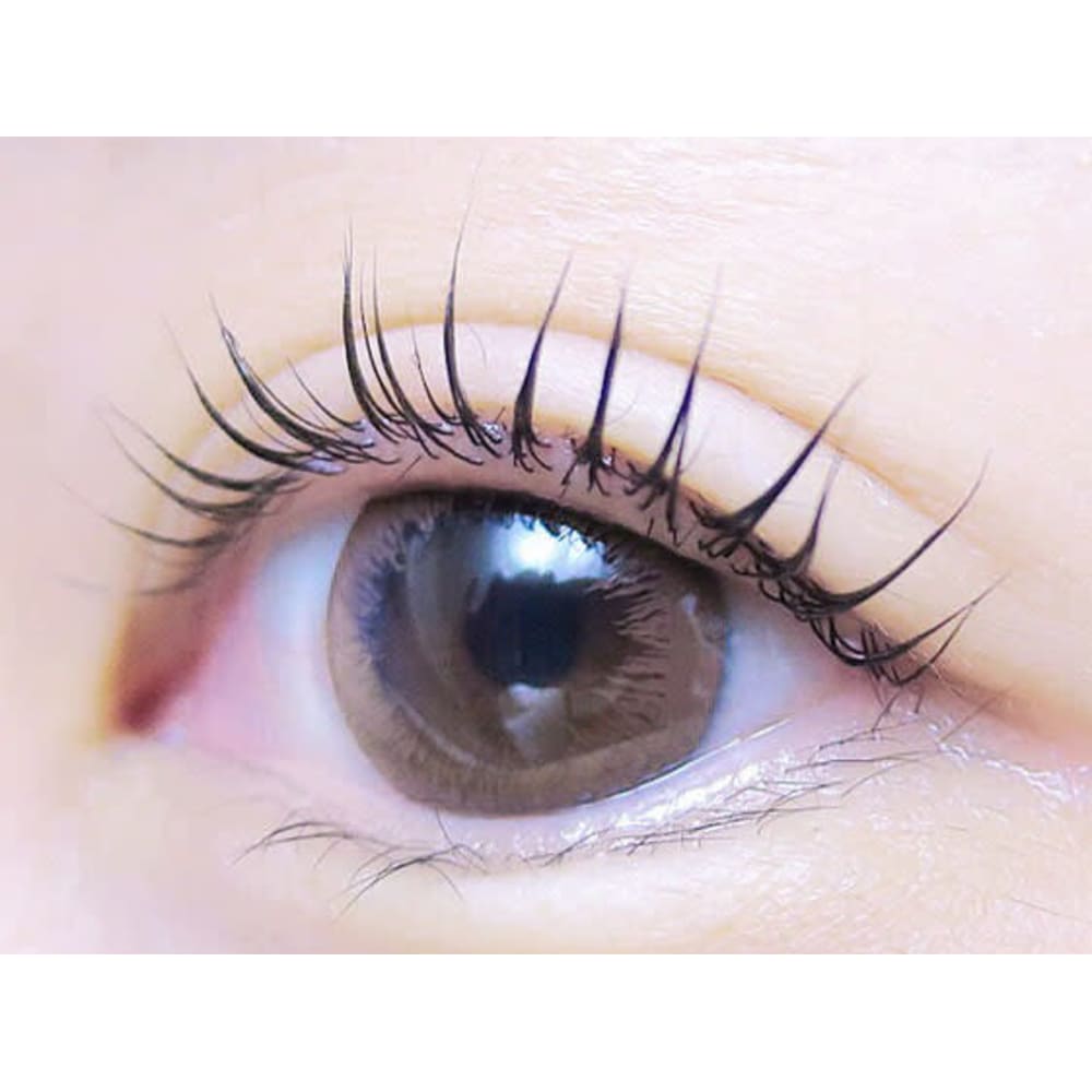 Moncil モンシル セーブル ボリュームラッシュ フラットラッシュ取扱店 モンシル セーブル ボリュームラッシュ フラットラッシュ の予約 サロン情報 ネイル まつげサロンを予約するなら楽天ビューティ