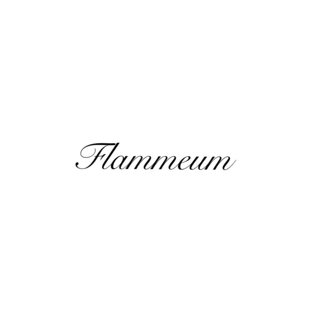 Flammeum Flammeum 静岡店 フラミューム シズオカテン のスタッフ 美容院 美容室を予約するなら楽天ビューティ Flammeum Flammeum 静岡店 フラミューム シズオカテン のスタッフ 美容院 美容室を予約するなら楽天ビューティ