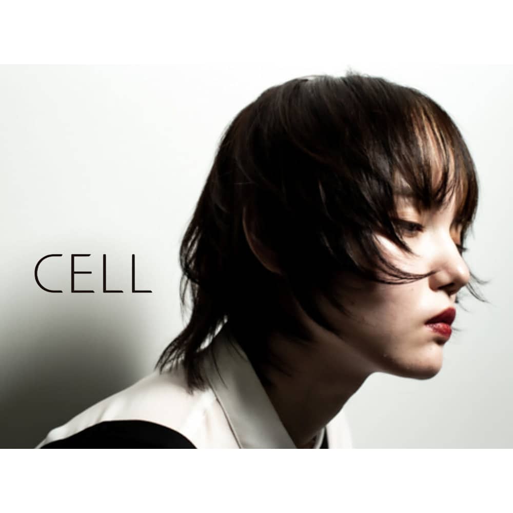 Cell セル の予約 サロン情報 美容院 美容室を予約するなら楽天ビューティ