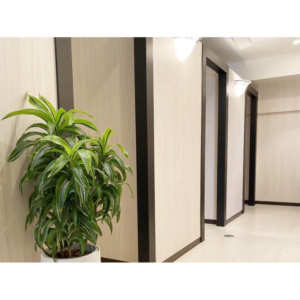 MONCIL【モンシル】セーブル/ボリュームラッシュ/フラットラッシュ取扱店