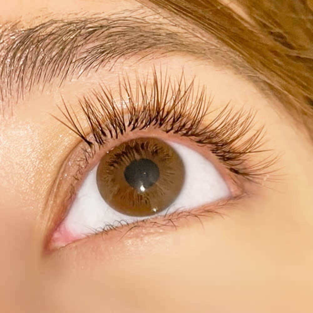 ネコ目 タレ目 セクシー ドール 目元に合わせたデザイン提案が強み エリアｎｏ１ Molreve モルレーヴ ボリュームラッシュ フラット ラッシュ Lカール取扱店 モルレーヴ ボリュームラッシュ フラットラッシュ エルカール のこだわり特集 ネイル まつげサロン