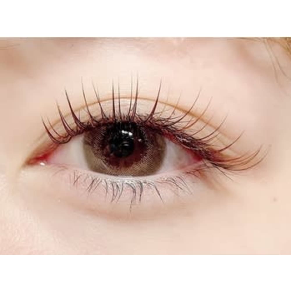 beauty:beast for eyelash 熊本店 画像2