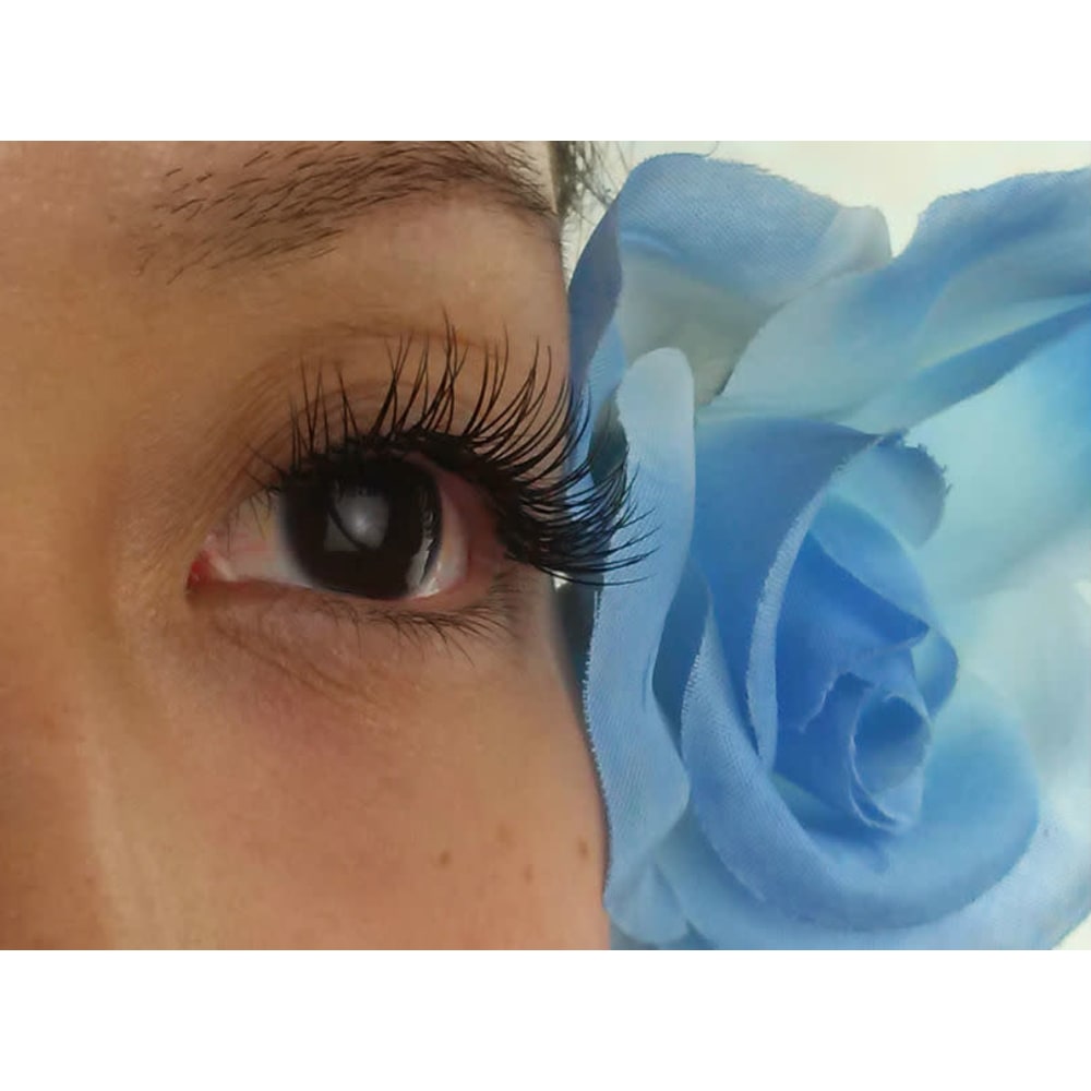 A・ビアントー 画像2