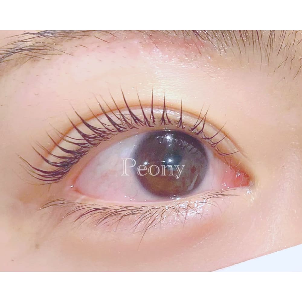 Peony Eye Nail ピオニー アイアンドネイル の予約 サロン情報 ネイル まつげサロンを予約するなら楽天ビューティ