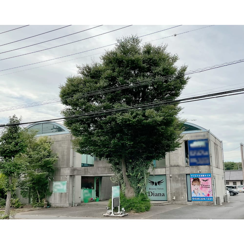 Dianaひたちなか高場店 画像1