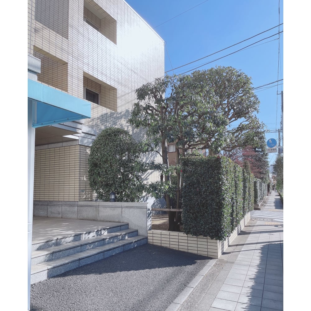 Princess Road 成城 画像