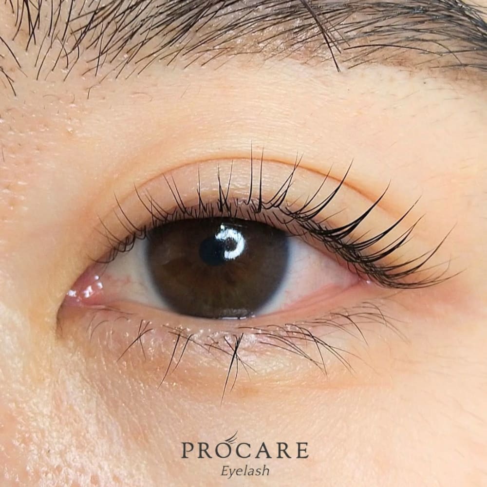 PROCARE Eyelash 新宿本店 画像2