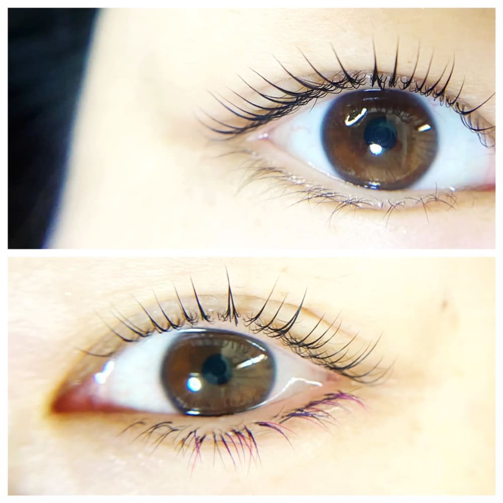 エステルーム ラティア 画像2