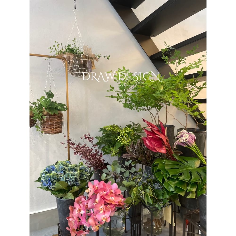 Draw:Design 広尾 画像2