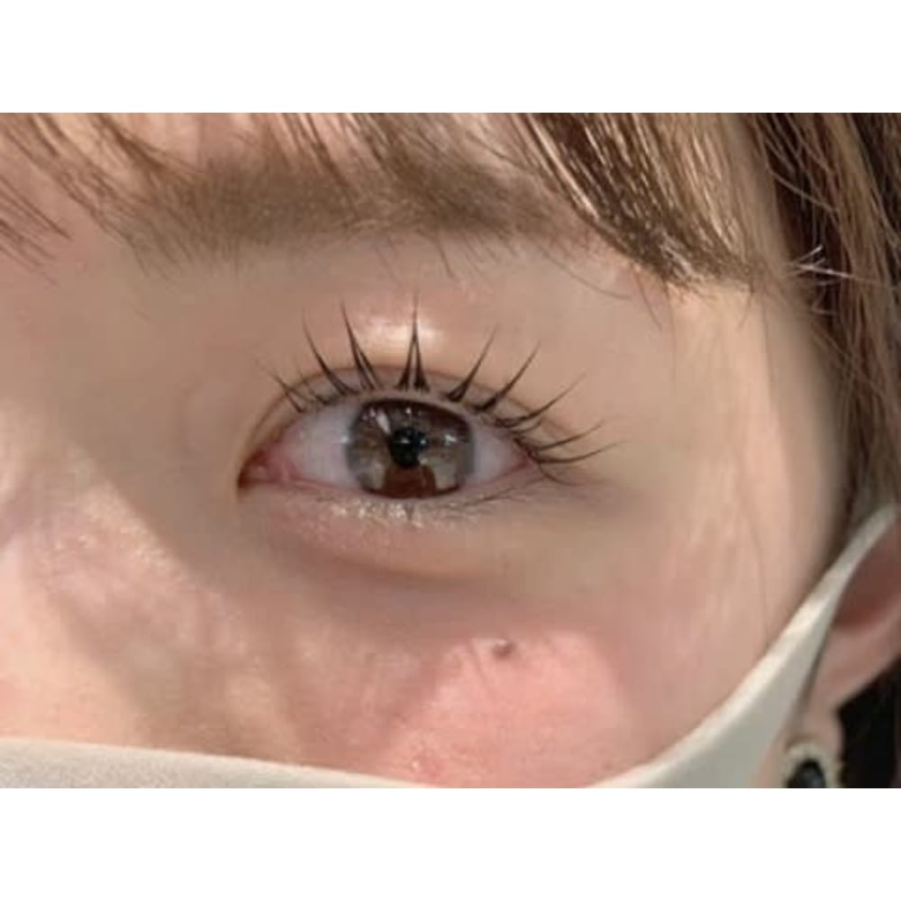 Lily eyelash & brow 広島