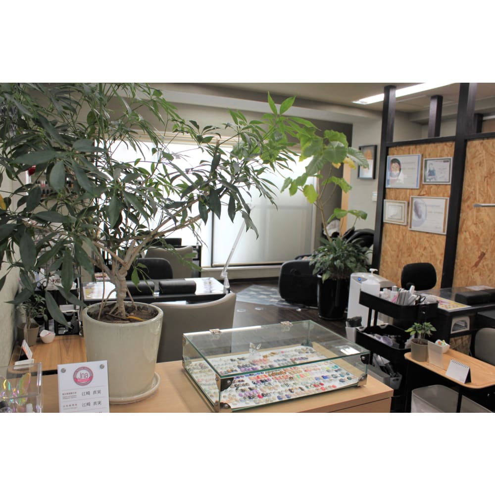 BEAUT-BUTTERFLY 相模大野店 画像