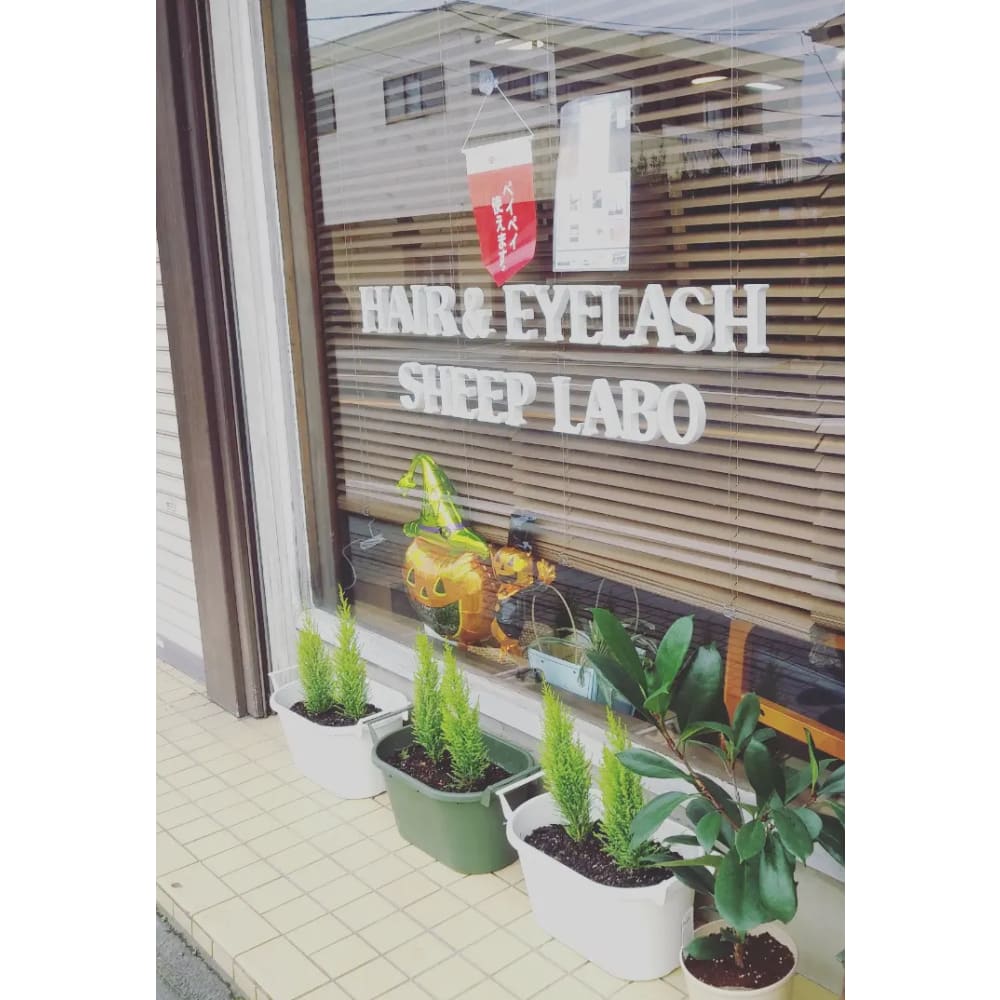 Hair&eyelash sheep.labo