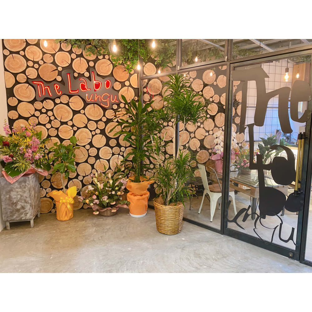 The Labo ungu 画像2