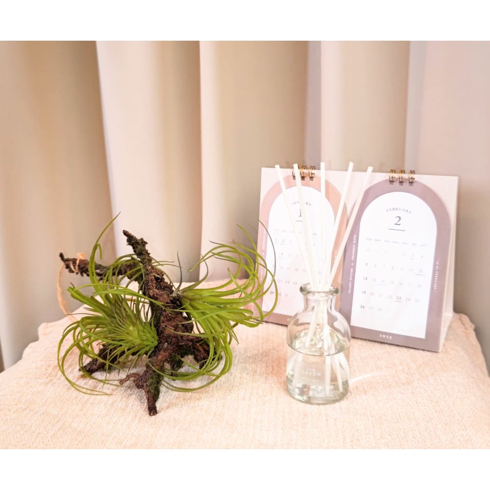 まつげエクステサロン TIARA 画像1