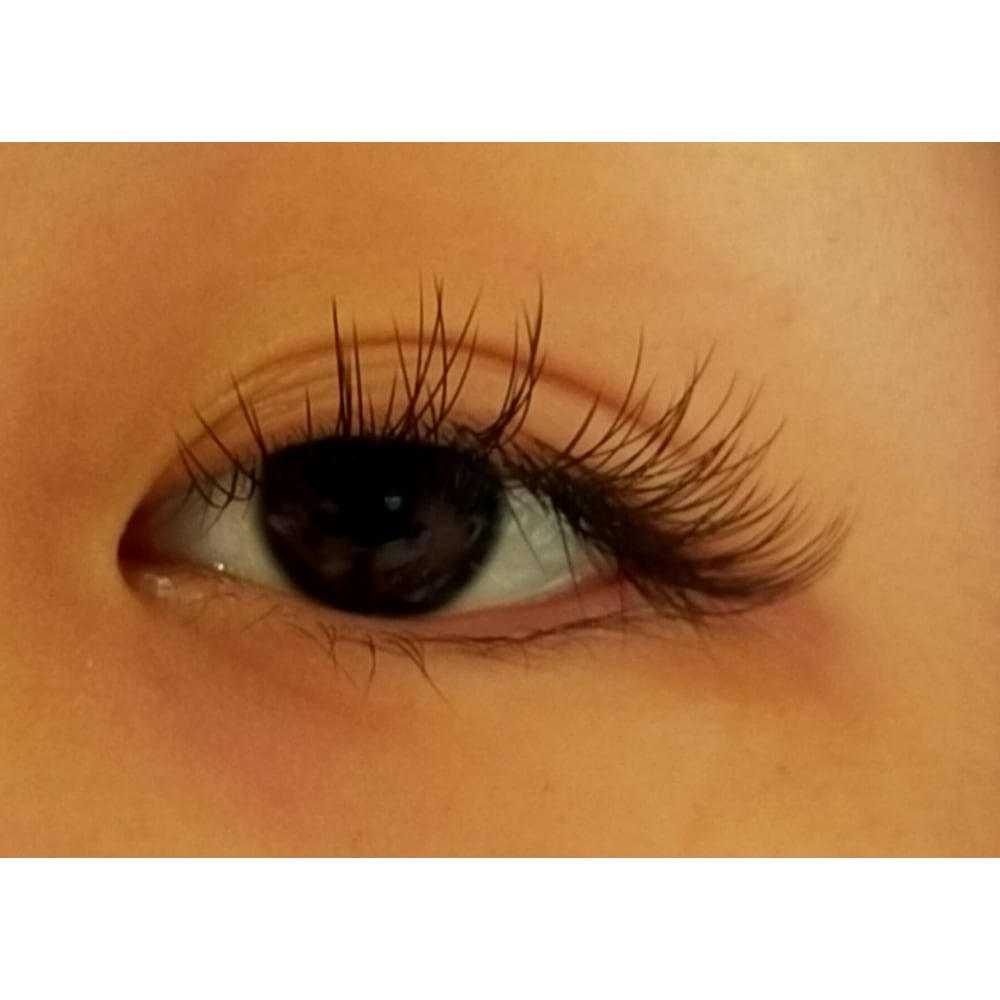 Divine Eyelash New art studio 画像2