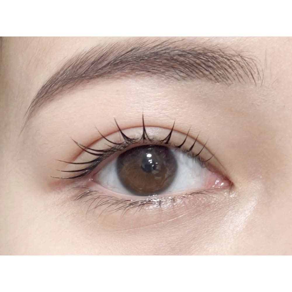 LUCHA Haney by lucha 画像2