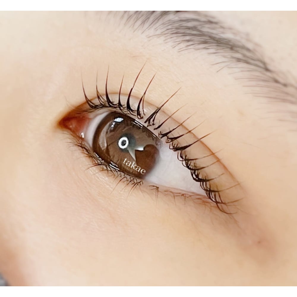 la beaux -eyelash＆eyebrow- 画像2