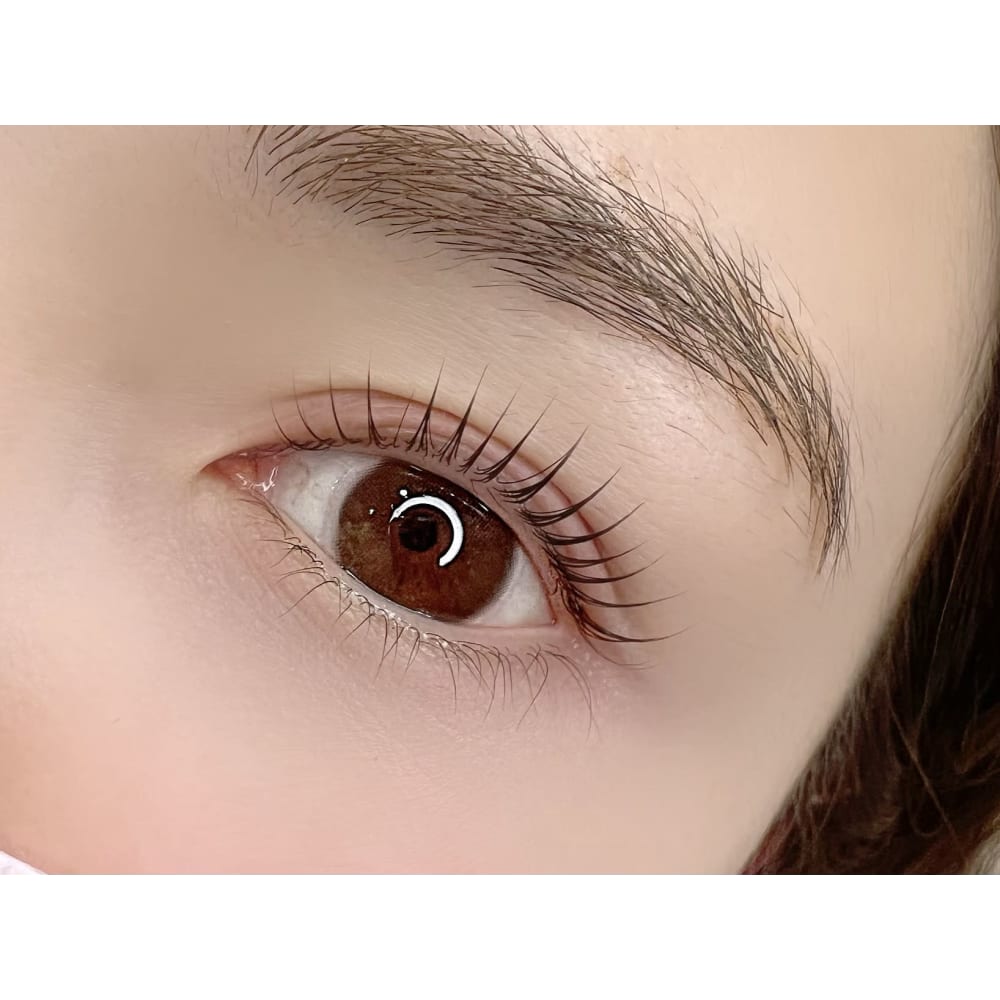 Bloom by THLEE 画像2