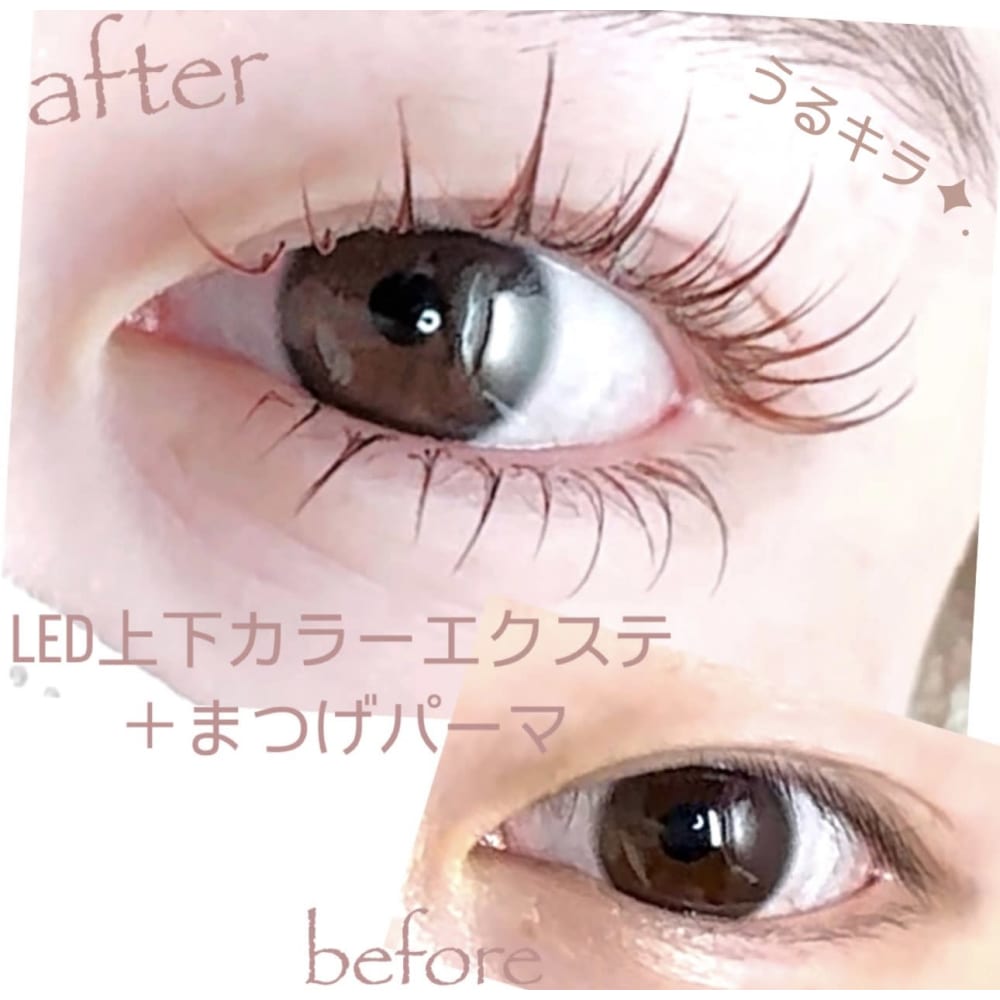 iku LEDeyelash&eyebrow 表参道 画像2