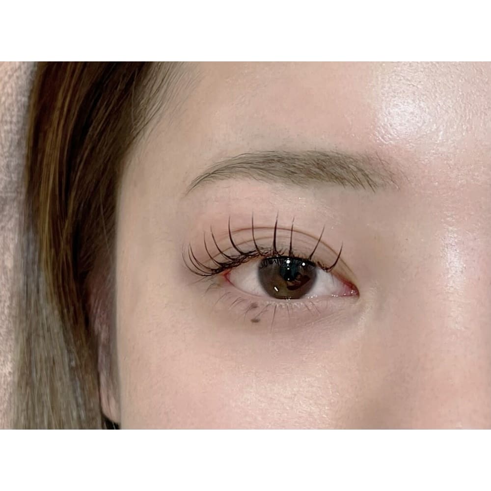 LUCIDOSTYLE BOGL 画像1