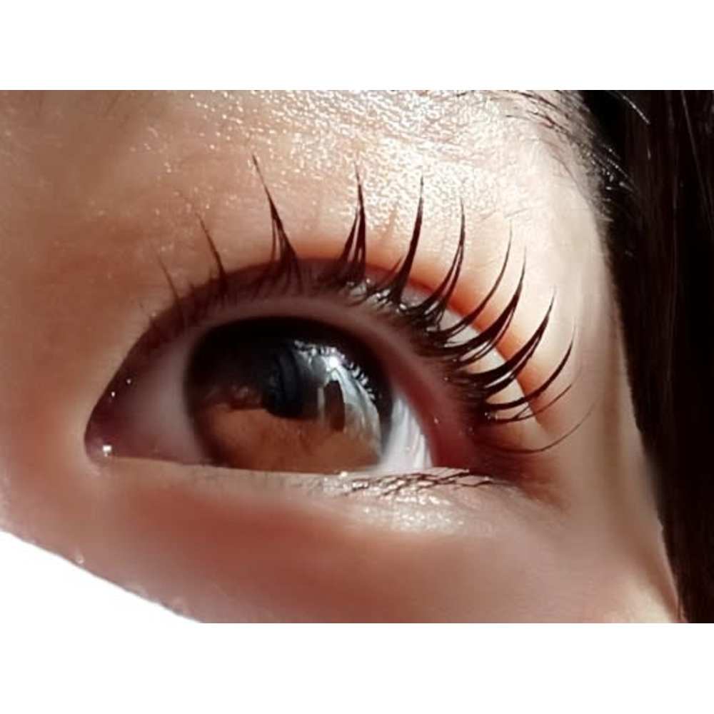 Divine Eyelash New art studio