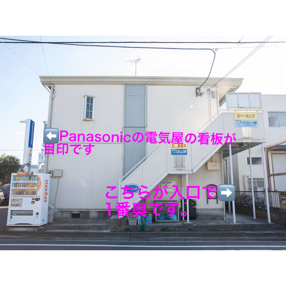 energy of grace 画像