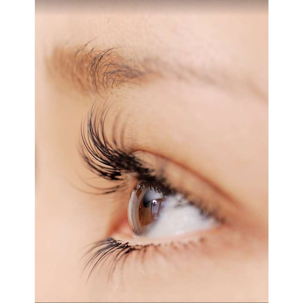 サロンSK81 画像2