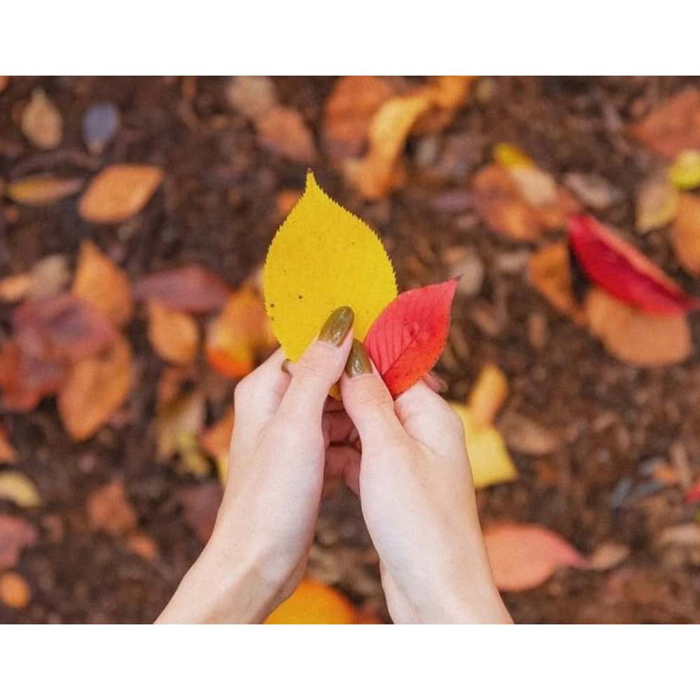 ホームサロンネイル＆ドイツ式フットケアENSIA