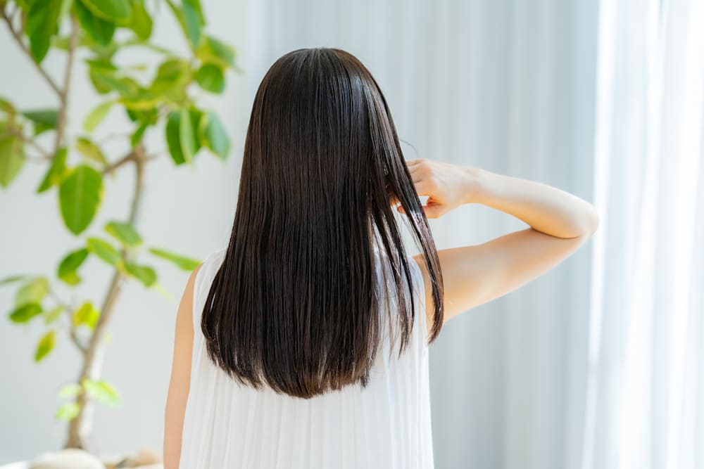 ストレートヘアの後ろ姿