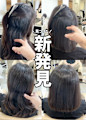 新発見 新発見