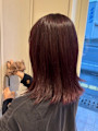 デザインカラー/赤髪美髪/ピンクベージュ/ダークブラウン/