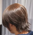 ショートウルフ