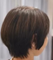 ショート