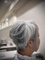グレイヘアーショート