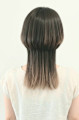 jelly fish cut