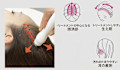 An Livian 北浜×スタイル
