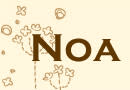 NOA(ノア)
