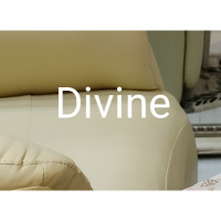 Ecco Divine(エッコ　ディバイン)