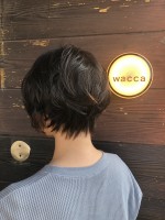 坂本萌(サカモトモエ)