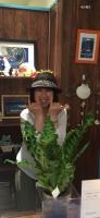 kei(ケイ)