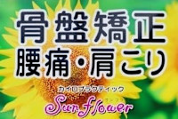 土肥 知絵美(ドイ チエミ)