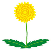 高橋　花歩(タカハシ　カホ)