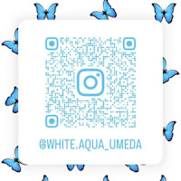 公式 Instagram(コウシキ インスタグラム)