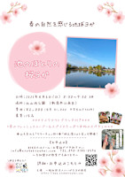 池のほとりの桜ヨガ(サクラヨガ)