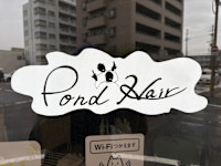 ポンドヘアー(ポンドヘアー)