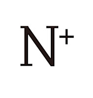 N+ スタイル集(エヌプラス スタイルシュウ)