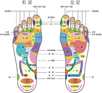 退避欄(タイヒラン)