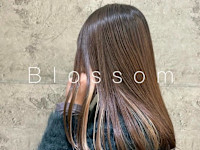 ブロッサム若葉(ブロッサムワカバ)